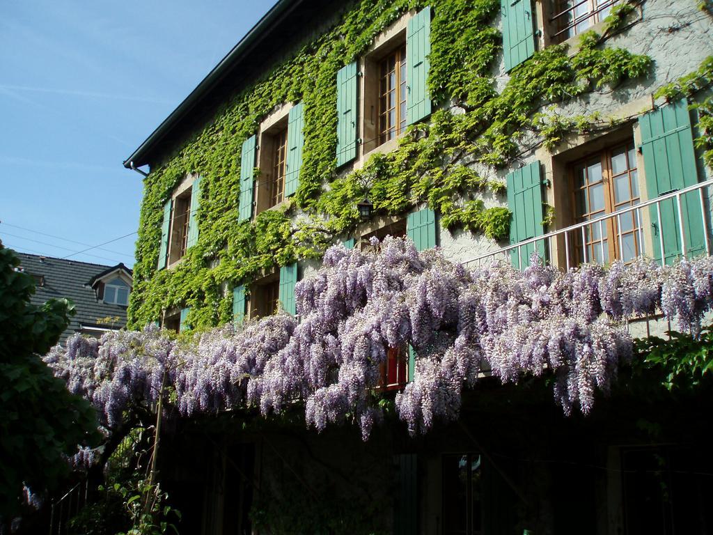 La Maison De Concise - Non Adapte Pour Les Enfants Ni Pour Les Mariages (Adults Only) Hotel Thonon-les-Bains Exterior photo